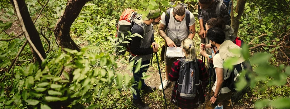 Indigenous community members working together in a forest