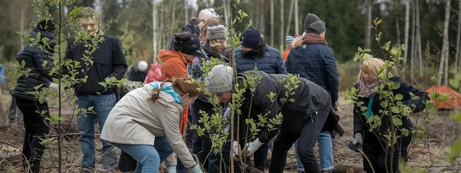 Local community members monitoring a natural forest